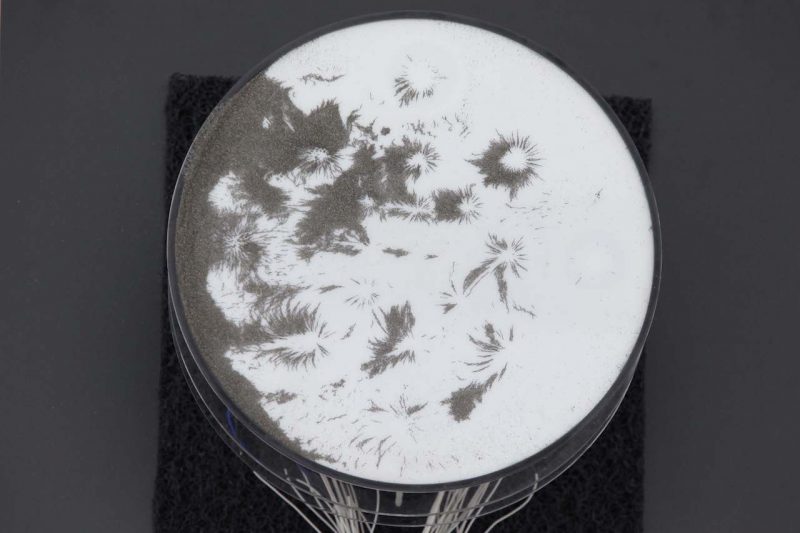 halle_11_13_016-kopie