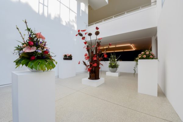 arrangement_jh_hdkv_01-03-16-1