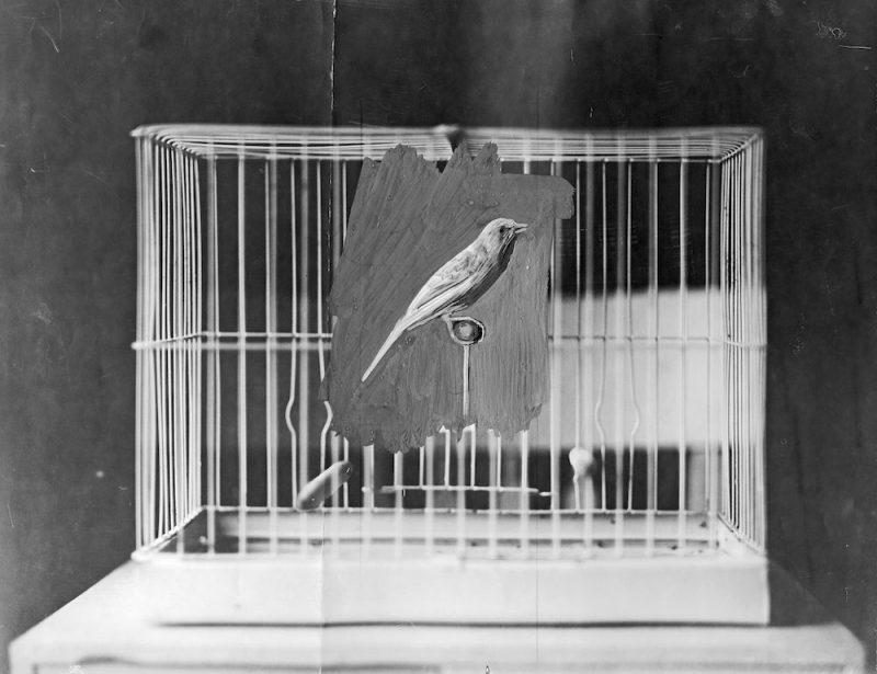 Sebastian_Riemer_Bird_Cage_2017