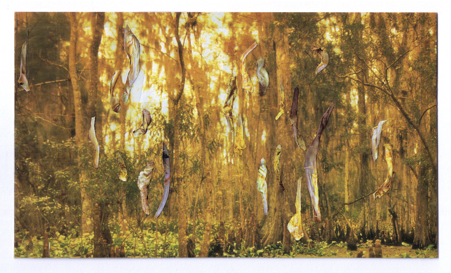 AM_Événement et concept_2